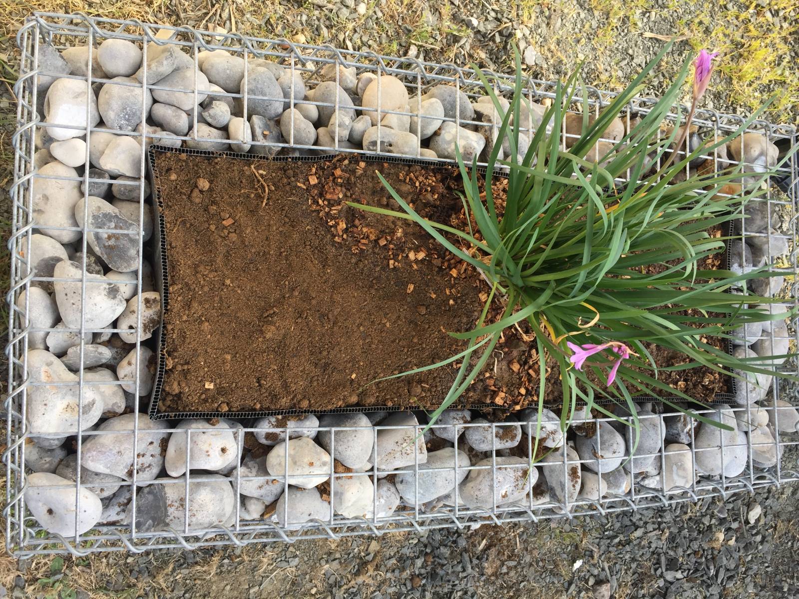 Jardinière à gabion - Jardinière Extérieur - BAC A FLEUR Acier galvanisé  360 x 50 x 50 cm - Cdiscount Jardin