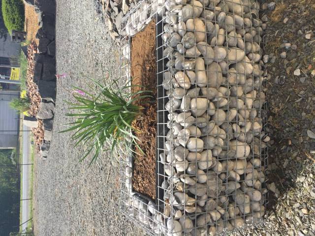 Jardinire Gabion 100x50x50 en fil de 3.2mm maille 50x50