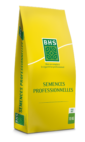 Semence